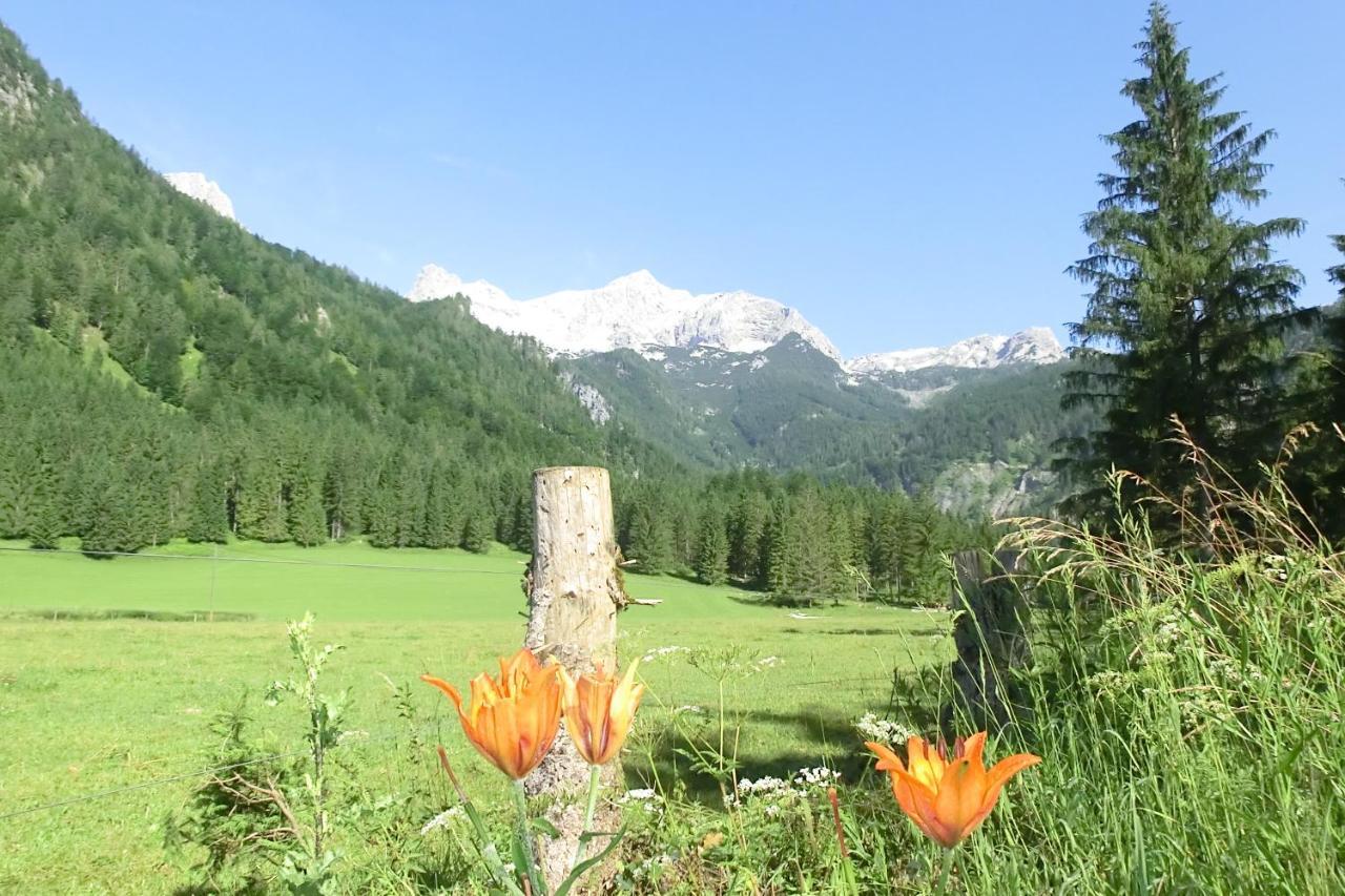 Hotel Garni Landhaus Buertlmair 힌터스토더 외부 사진